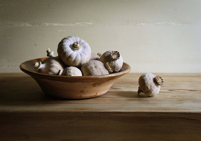 Poppy bulbs in bowl by Ton Meijer
