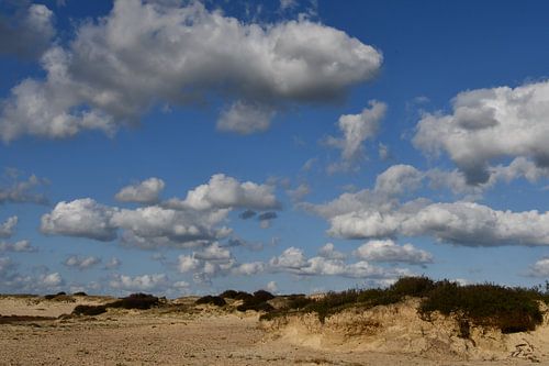 Zandverstuiving met heide en wolken