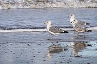 Strandspaziergang