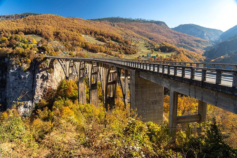 Tara Bridge by Peter Schickert