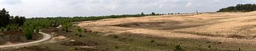 Braamberg Veluwe Netherlands by Richard Wareham