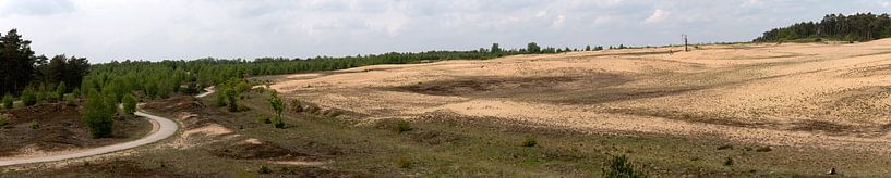 Braamberg Veluwe Pays-Bas par Richard Wareham