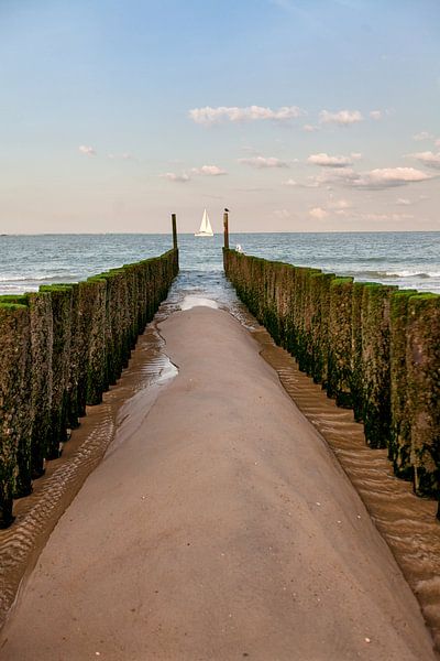 Wellenbrecher in der Nordsee am Strand von Dishoek in Zeeland von Wout Kok