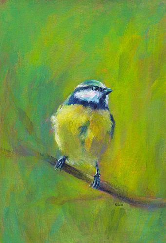 Portret van een pimpelmees op een tak Acrylschilderij