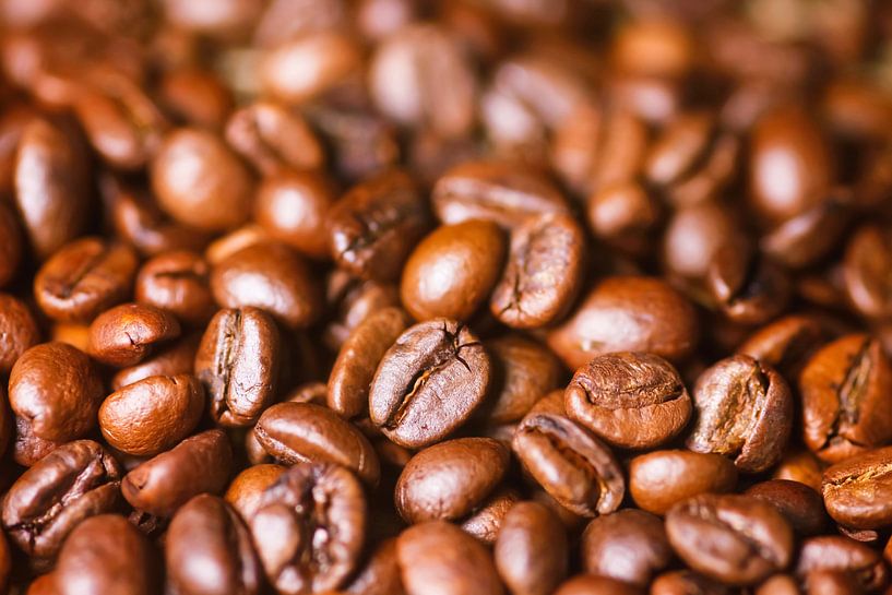 Kaffeebohnen von Thomas Jäger