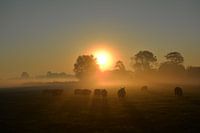 Matinée de septembre