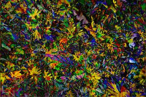 Chapeau de soleil (Rudbeckia fulgida), abstrait