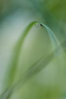 Spinne in ihrer eigenen Umgebung