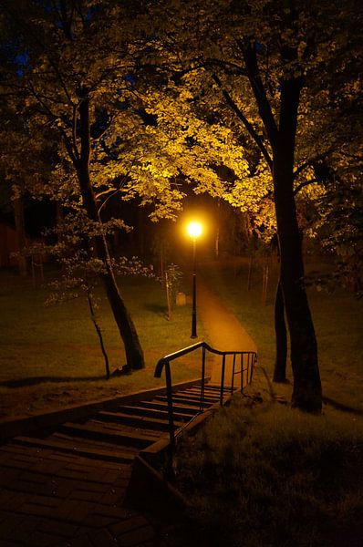 Park im Herbst von Iwona Sdunek alias ANOWI