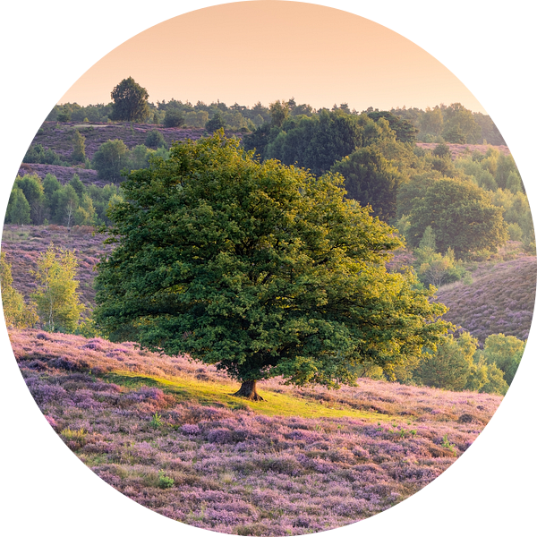 Lonely Three van Max ter Burg Fotografie