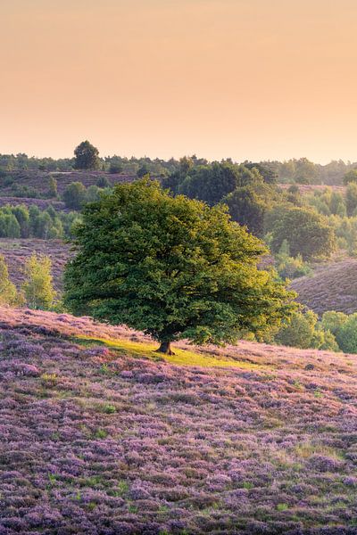 Lonely Three by Max ter Burg Fotografie