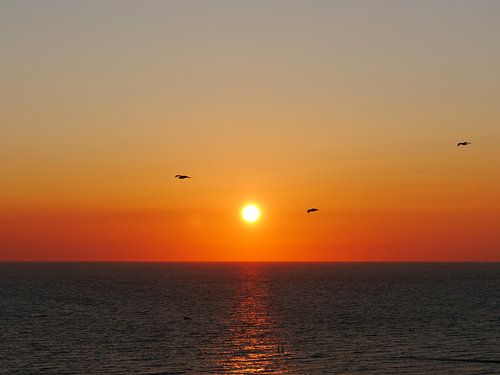 Zonsondergang Zoutelande