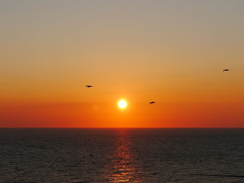 Zonsondergang Zoutelande von Happy Photography