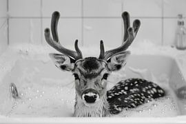 Deer in the bathroom - An enchanting bathroom picture for your WC by Poster Art Shop
