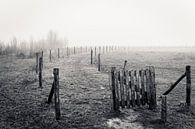 Landschap in de mist by Erik Wouters thumbnail