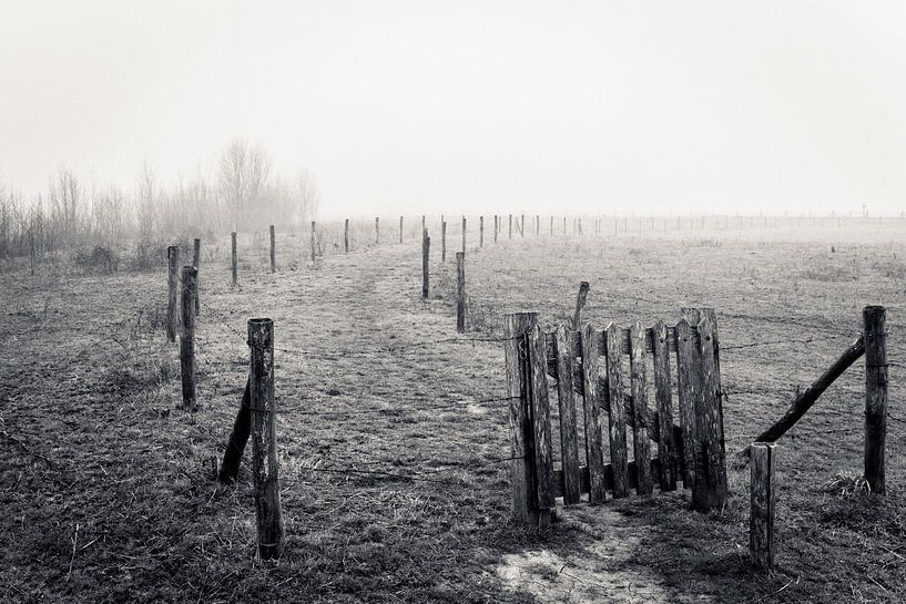 Landschap in de mist van Erik Wouters
