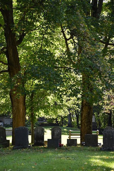 The cemetery in summer by Claude Laprise