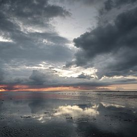 Der goldene Streifen von Axel Ellerhorst