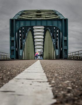 De toekomst tegemoet lopen (kleur) van Wouter Van der Zwan