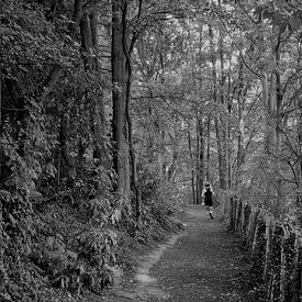 Jogger in wooded area near Antwerp, Belgium by Marc Pennartz