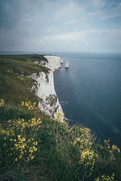 Jurassic Coast, United Kingdom by Tom in 't Veld