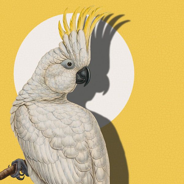 White Parrot on Yellow par Marja van den Hurk