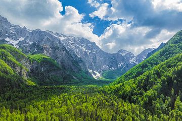 Logarvallei in de Kamnik Savinja Alpen in Slovenië
