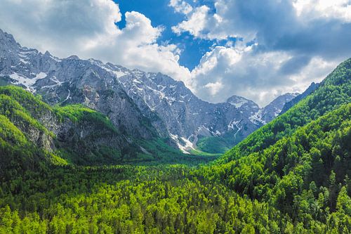 Vallée de Logar dans les Alpes de Kamnik Savinja en Slovénie