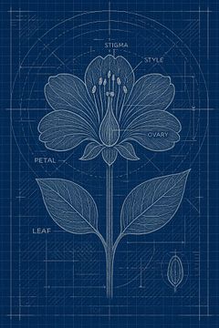 Vintage Floral Illustration on Blue Print by But First Framing
