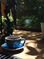 Blauwe kop koffie