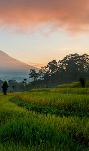 Volcano Gunung Agung near Sidemen (part 3 trilogy)