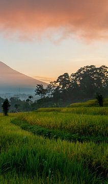 Vulkaan Gunung Agung bij Sidemen (deel 3 drieluik)
