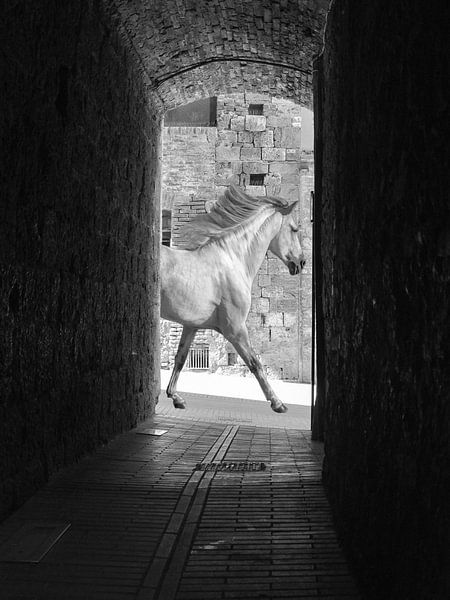 Paard in straatje / Horse in street van Henk de Boer