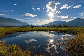 Autumn sun on the moss eye by Christina Bauer Photos