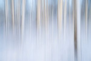 Un paysage abstrait dans la neige - 13