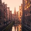 Streets and canals of Amsterdam - Golden Hour by Vincent Fennis