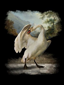 De Zwaan van Marja van den Hurk