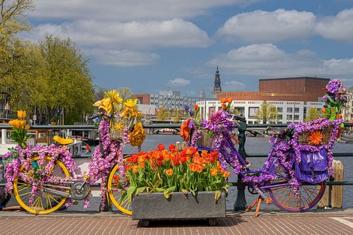 Een fleurige Magere brug in Amsterdam