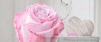 Pink Love