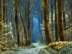 Bonne nuit sur Lars van de Goor