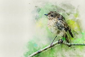 Jeune merle sur une branche (aquarelle, peinture)