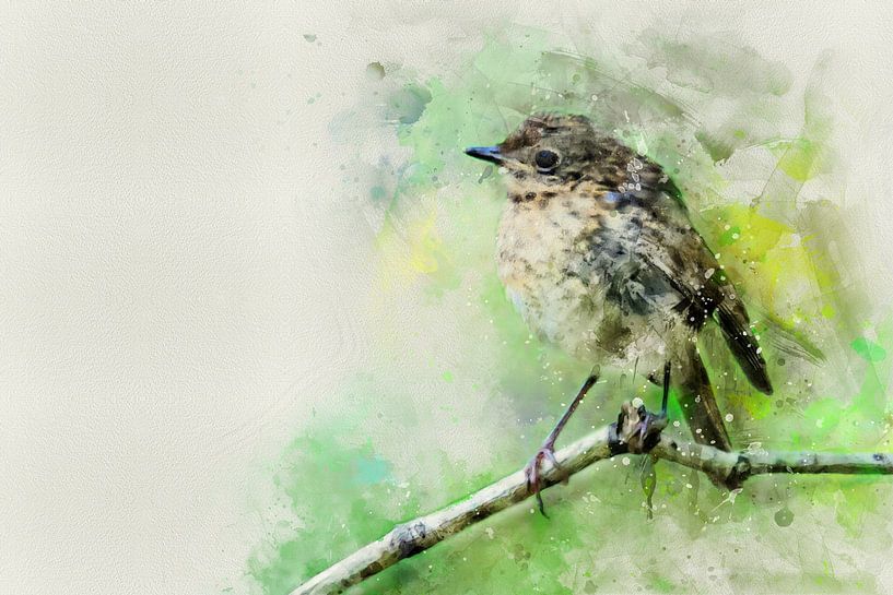 Junges Rotkehlchen auf einem Ast (Aquarell, Gemälde) von Art by Jeronimo