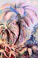 Dreamy Morning Jungle