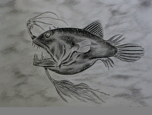 Der Urzeit-Angler