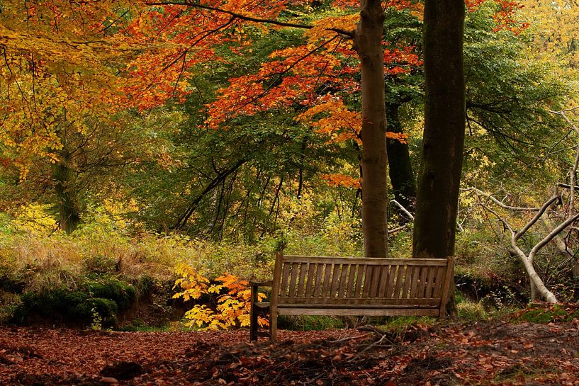 Herbst von Corrie Post