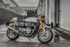 Triumph Thruxton R von Westland Op Wielen