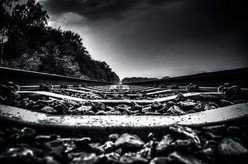 On the Track (zwart / wit) van Michiel ter Elst