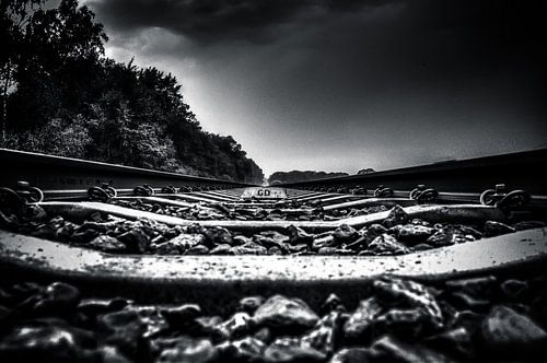 On the Track (zwart / wit)