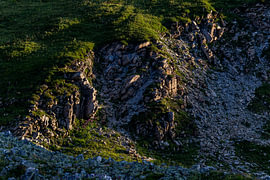 Alpine Textures by Tim Demel