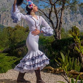 Flamenco in den Bergen 2 von Peter Laarakker